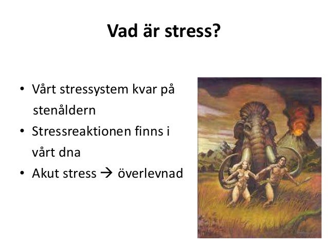 vad är stress